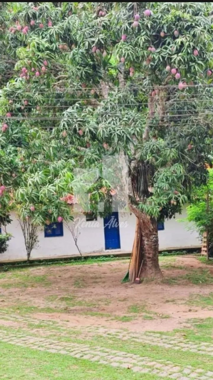  GETULÂNIDA  / RIO CLARO - 4 QUARTOS CHÁCARA - 2.000 M²  - Foto 5
