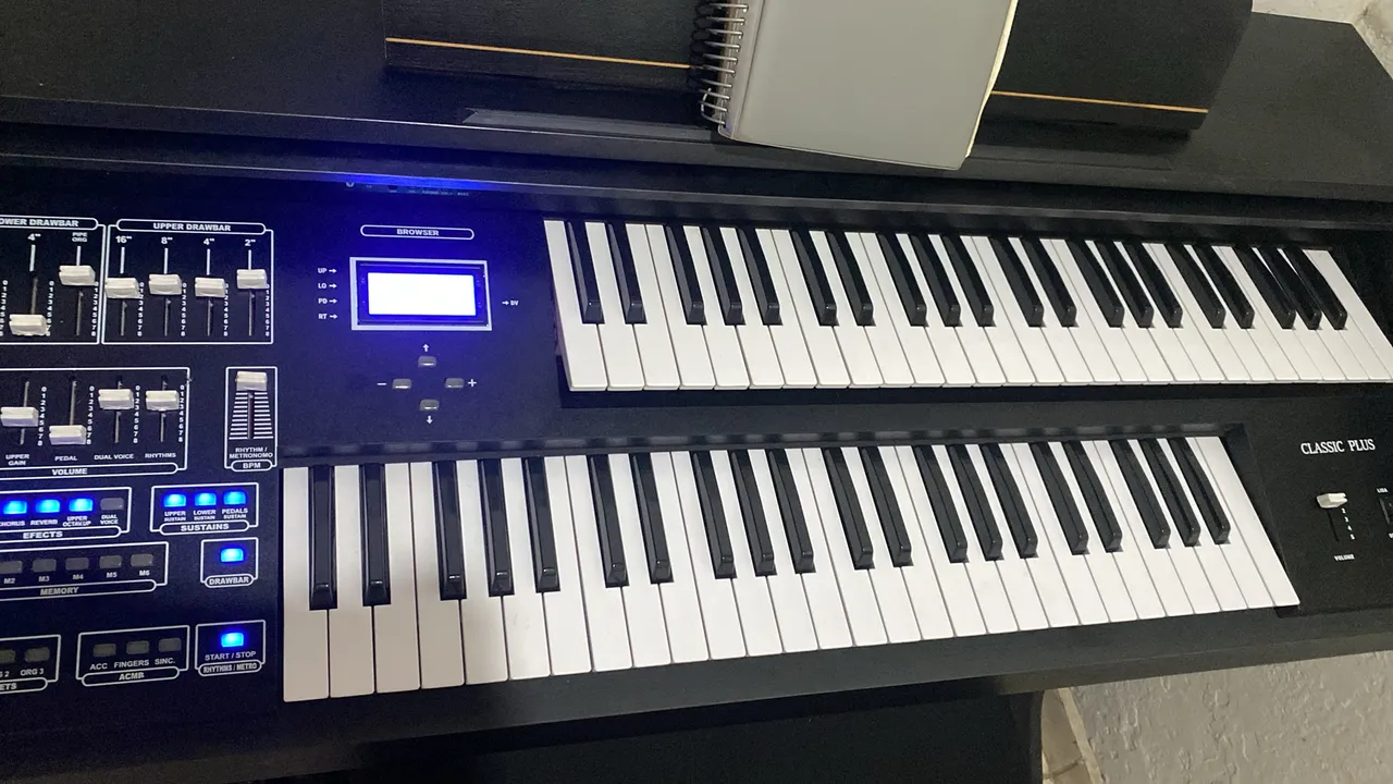 Órgão acordes classic plus dual voice
