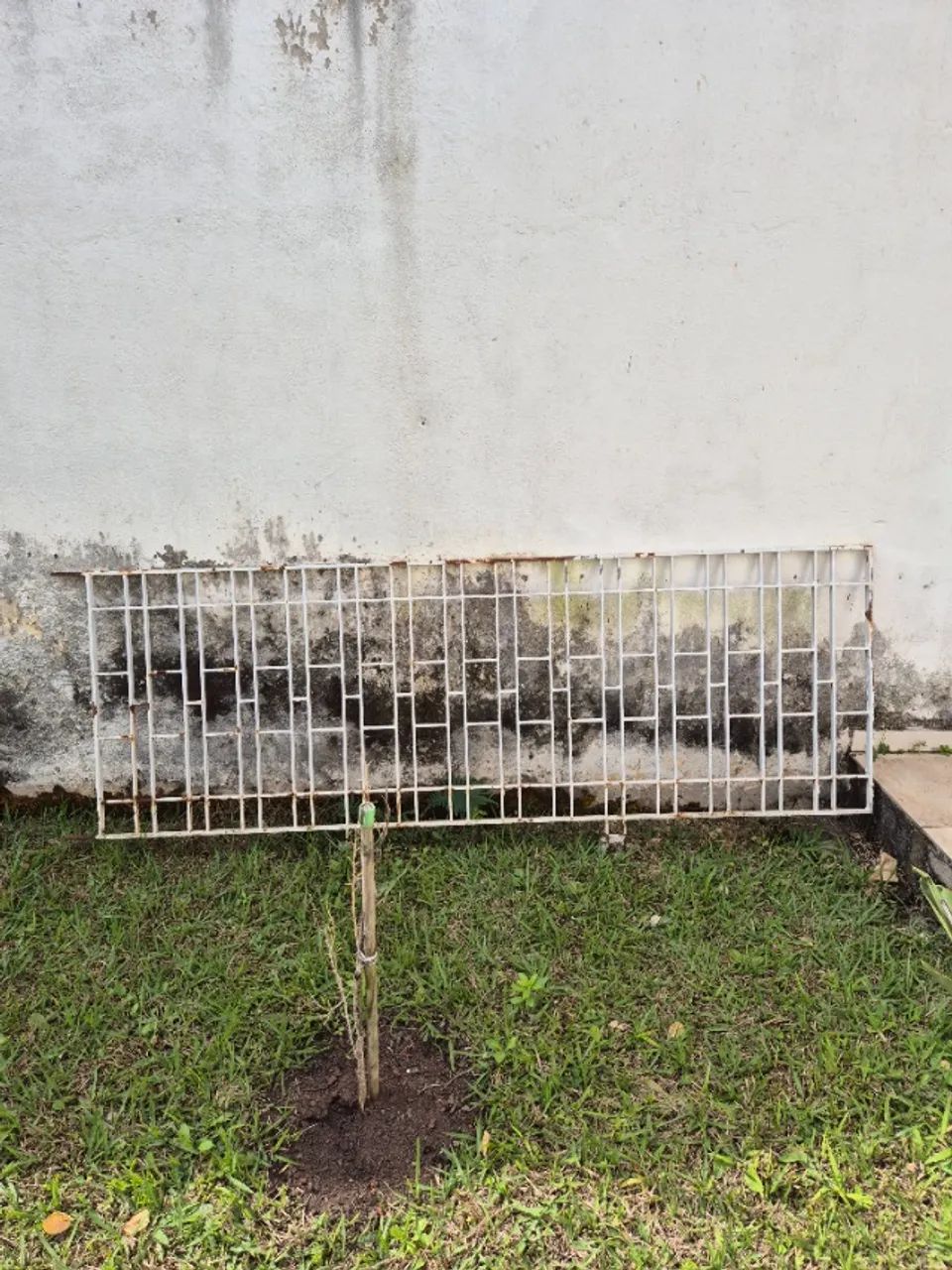 2 Portões + Gradeado Branco Ferro - Foto 2