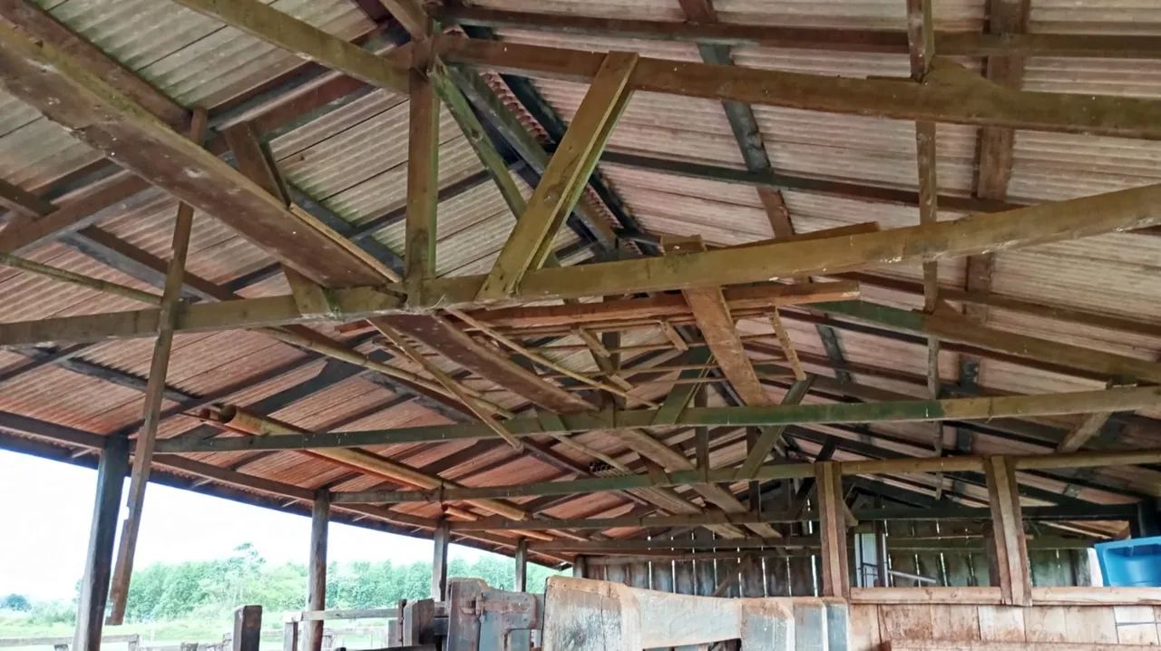 Madeiras Rústicas de Demolição - Tábuas, Palanques, Caibros e Vigas<br> - Foto 4