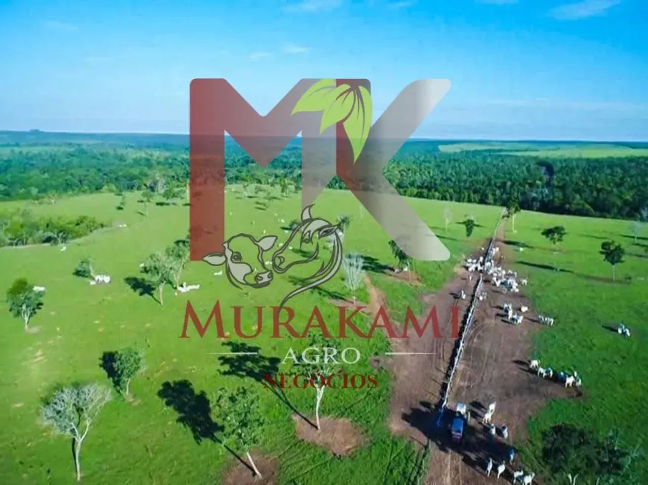 FAZENDA EM PARANATINGA MATO GROSSO - Foto 2