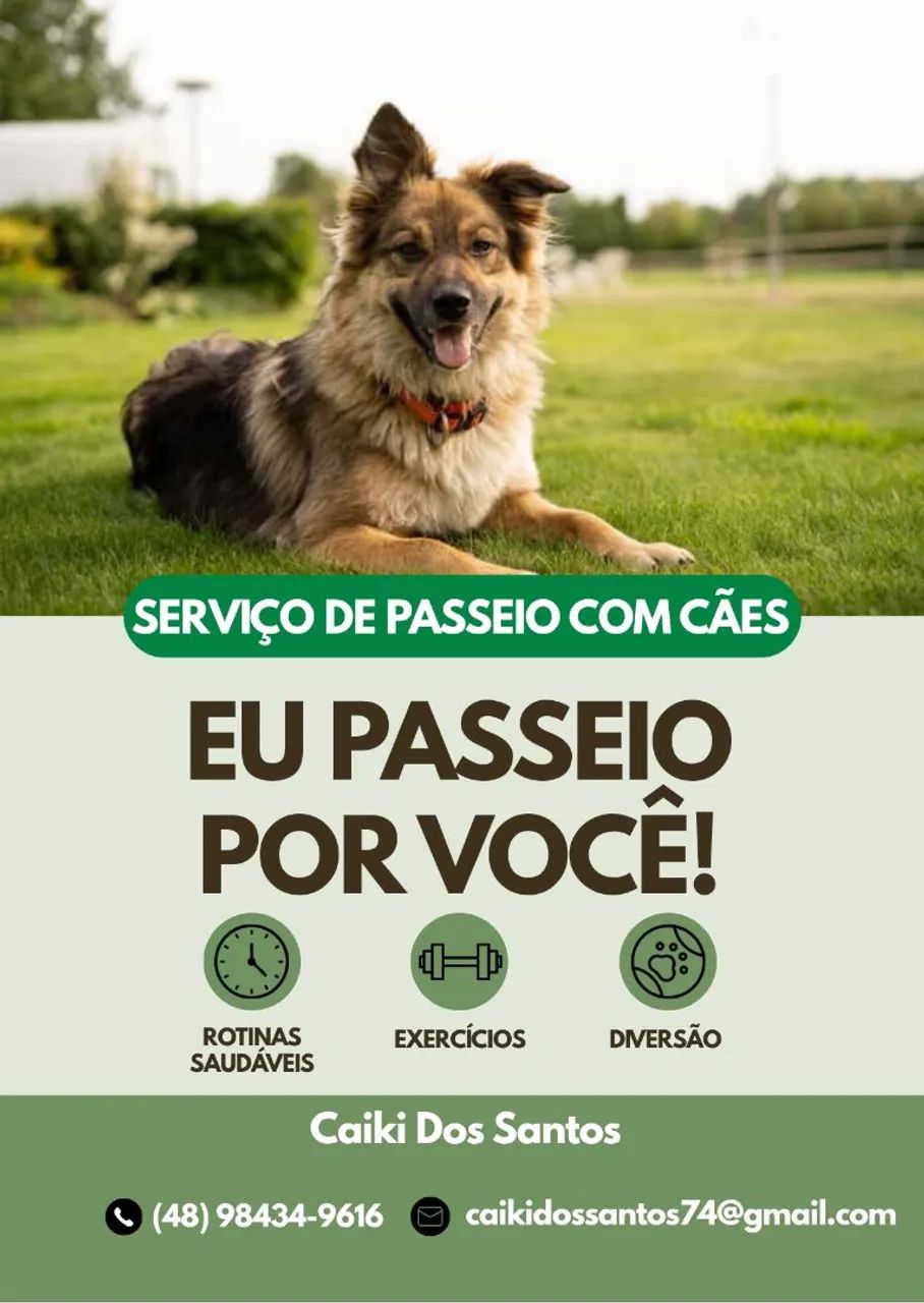 Passeio com seu cão!