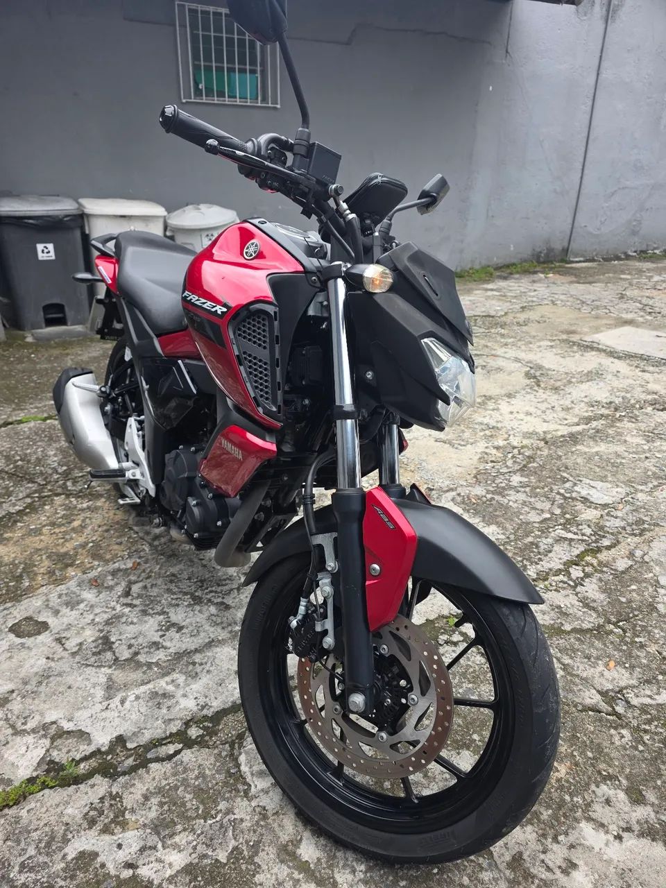 Fz15 2024