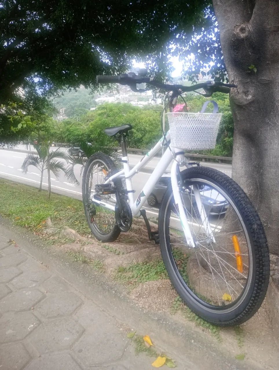 Bicicleta  - Foto 2