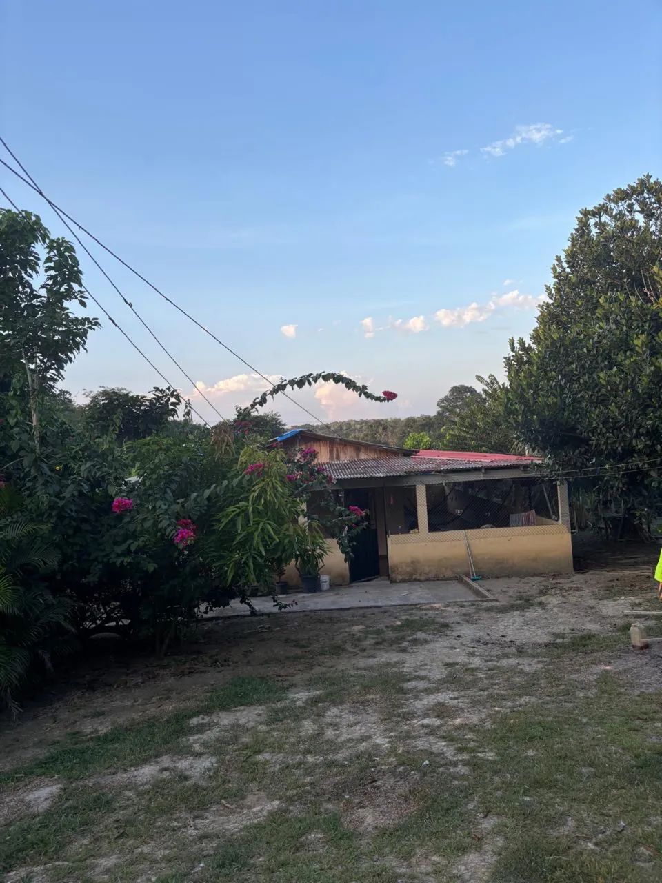 Sítio à Venda  - Foto 5