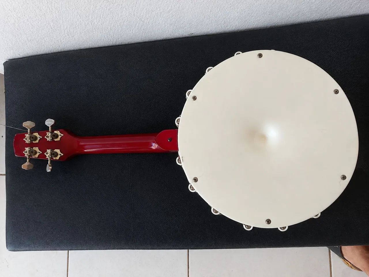 Banjo de dez polegadas semi novo