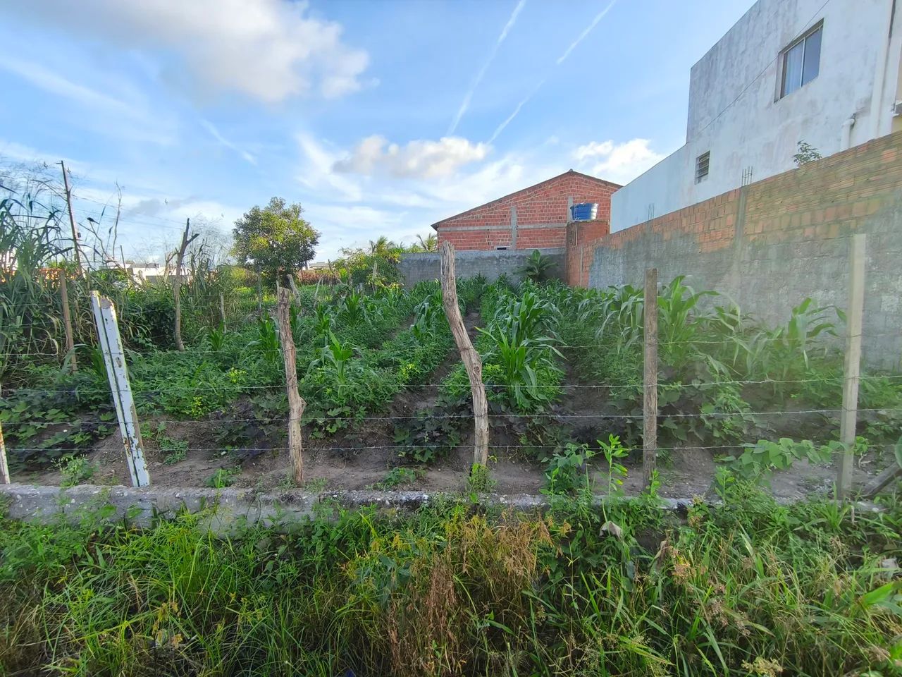 Terreno em Coruripe