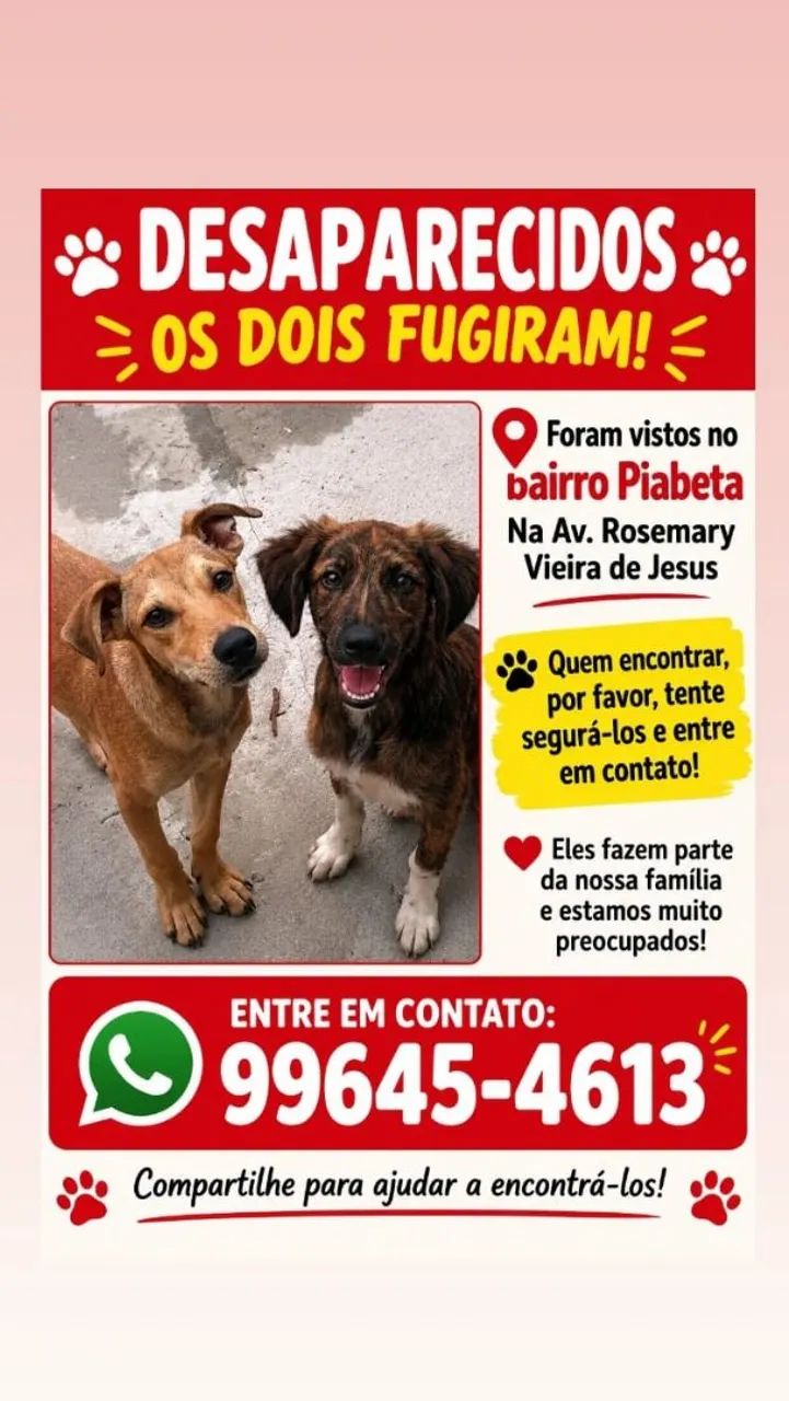 Quem ver entre em contato 