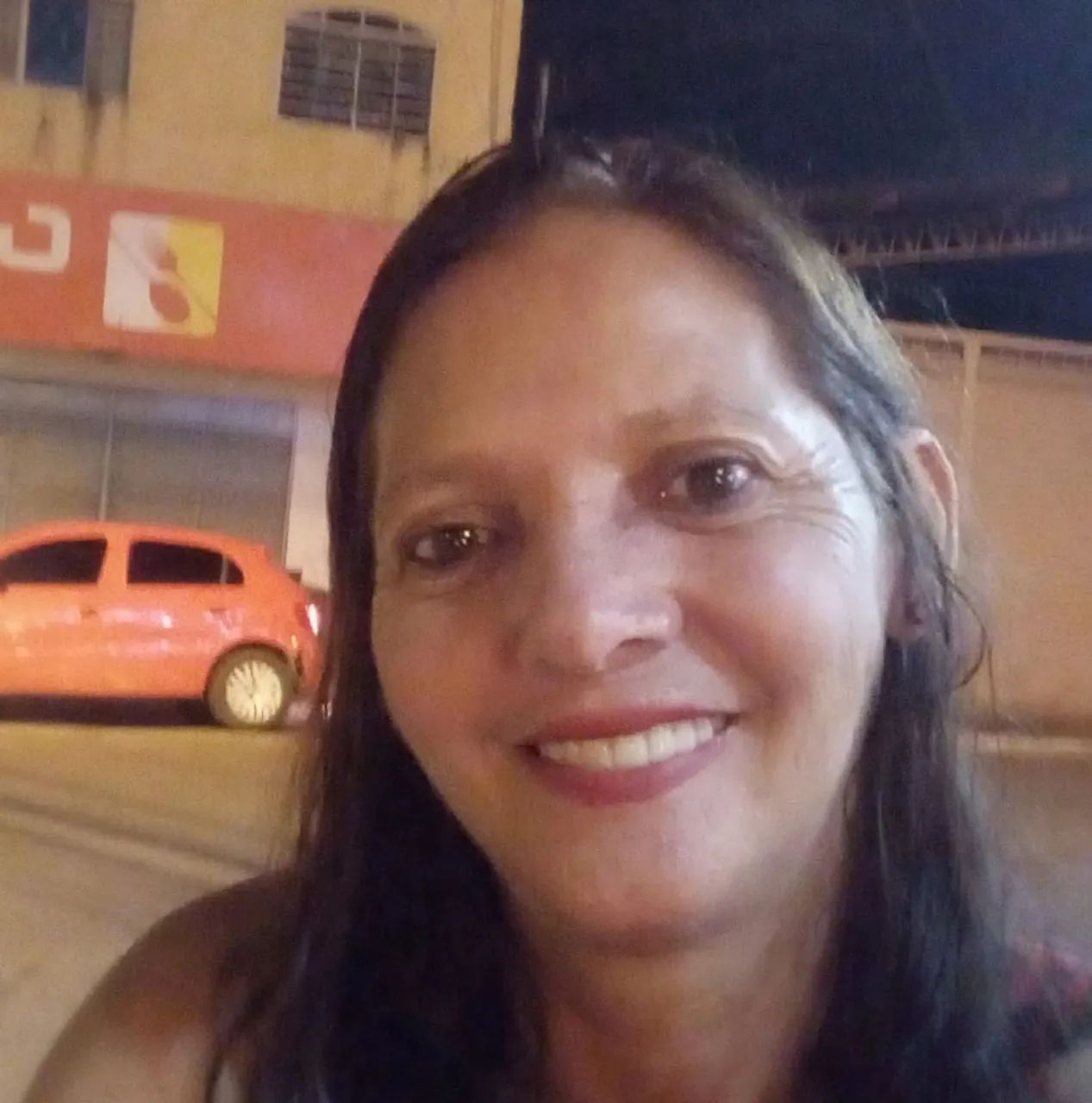 Sou diarista