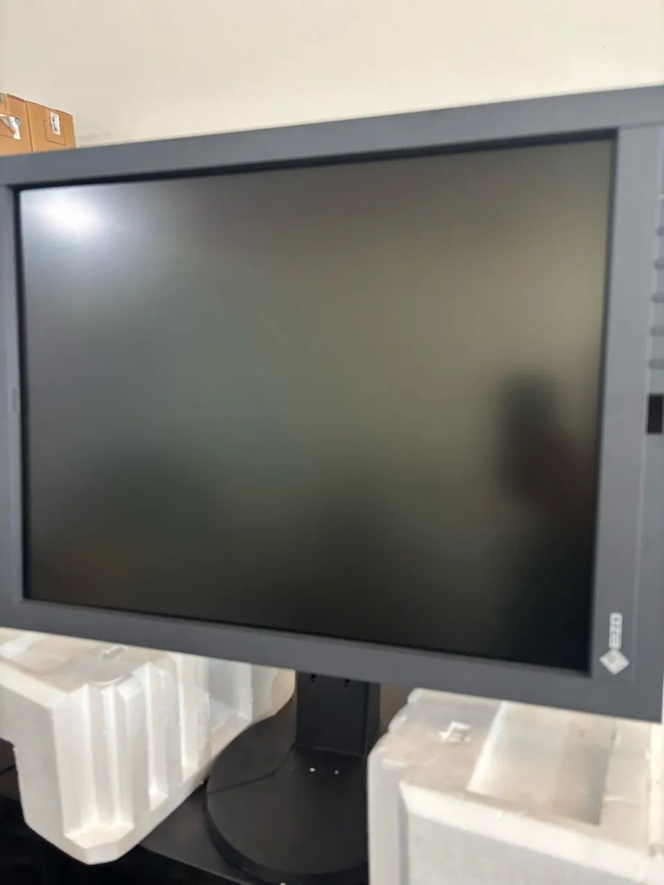 Monitor laudo Eizo 5 megapixels 