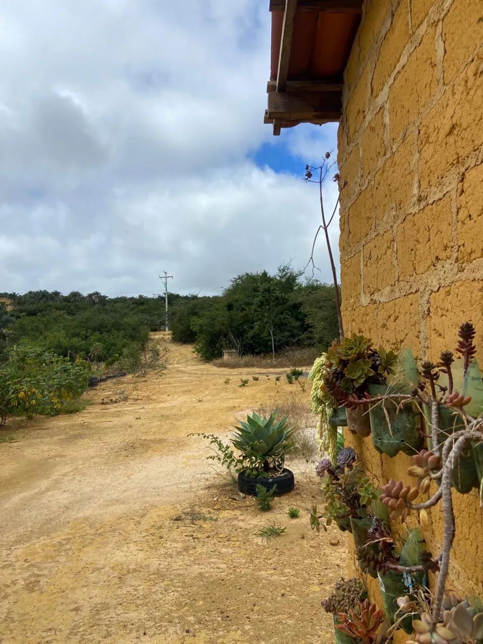 Sitio a venda - Foto 4