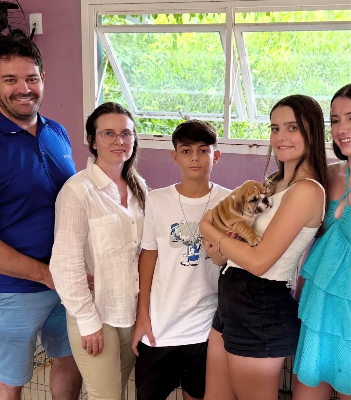 Filhote de Buldogues inglês  - Foto 5