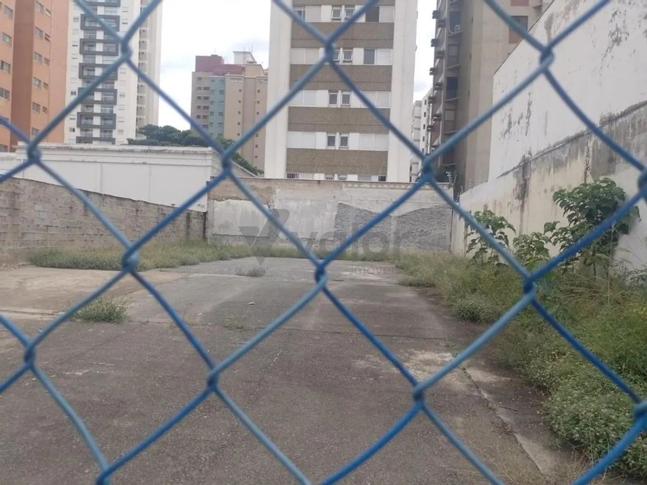 Terreno para alugar em Campinas, Centro, com 429 m² - Foto 4