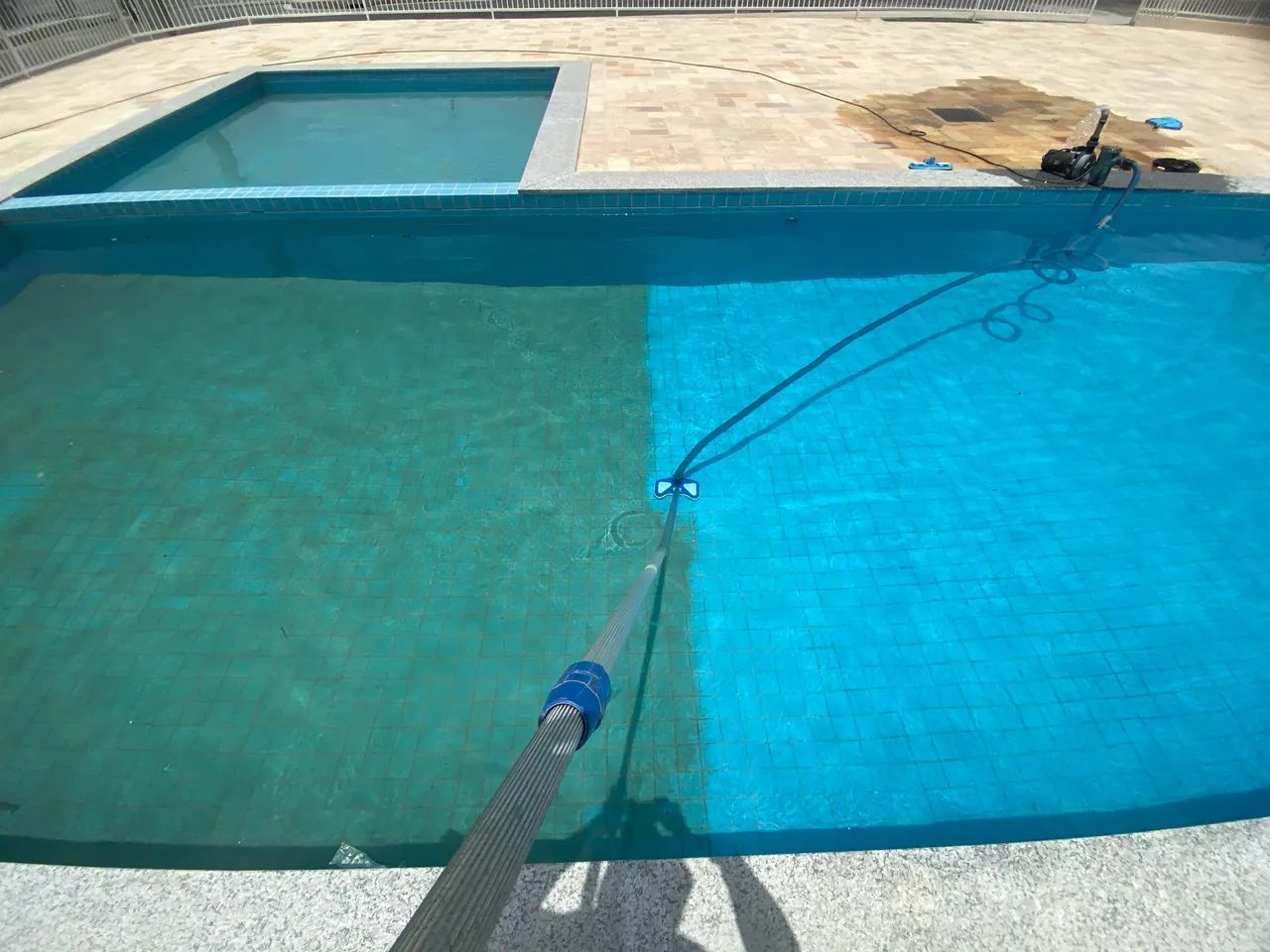 Piscineiro. limpeza, tratamento. 