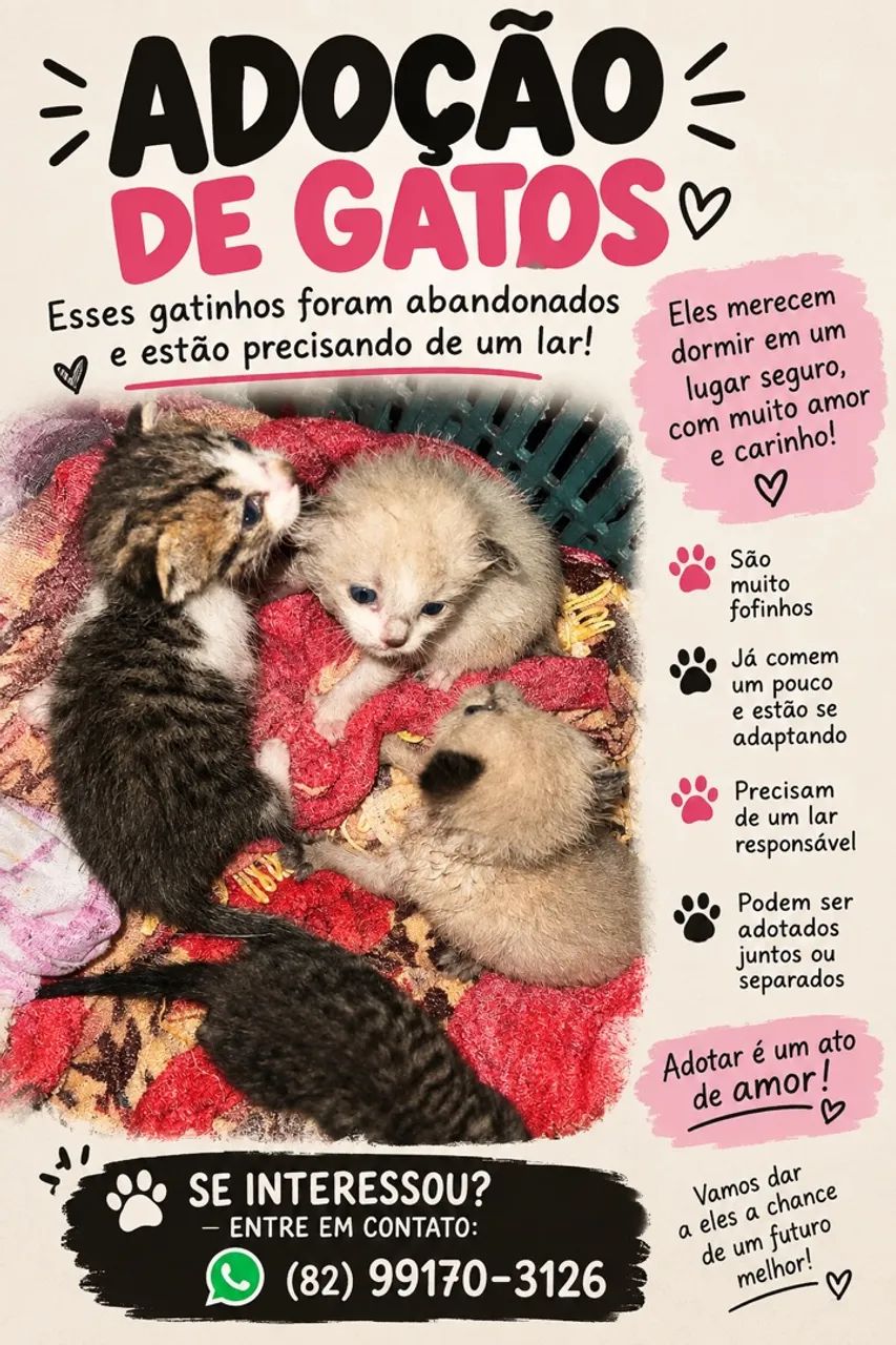 Adocao de gatos