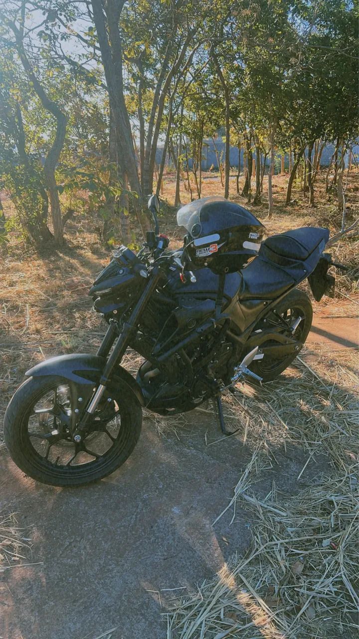 Mt03