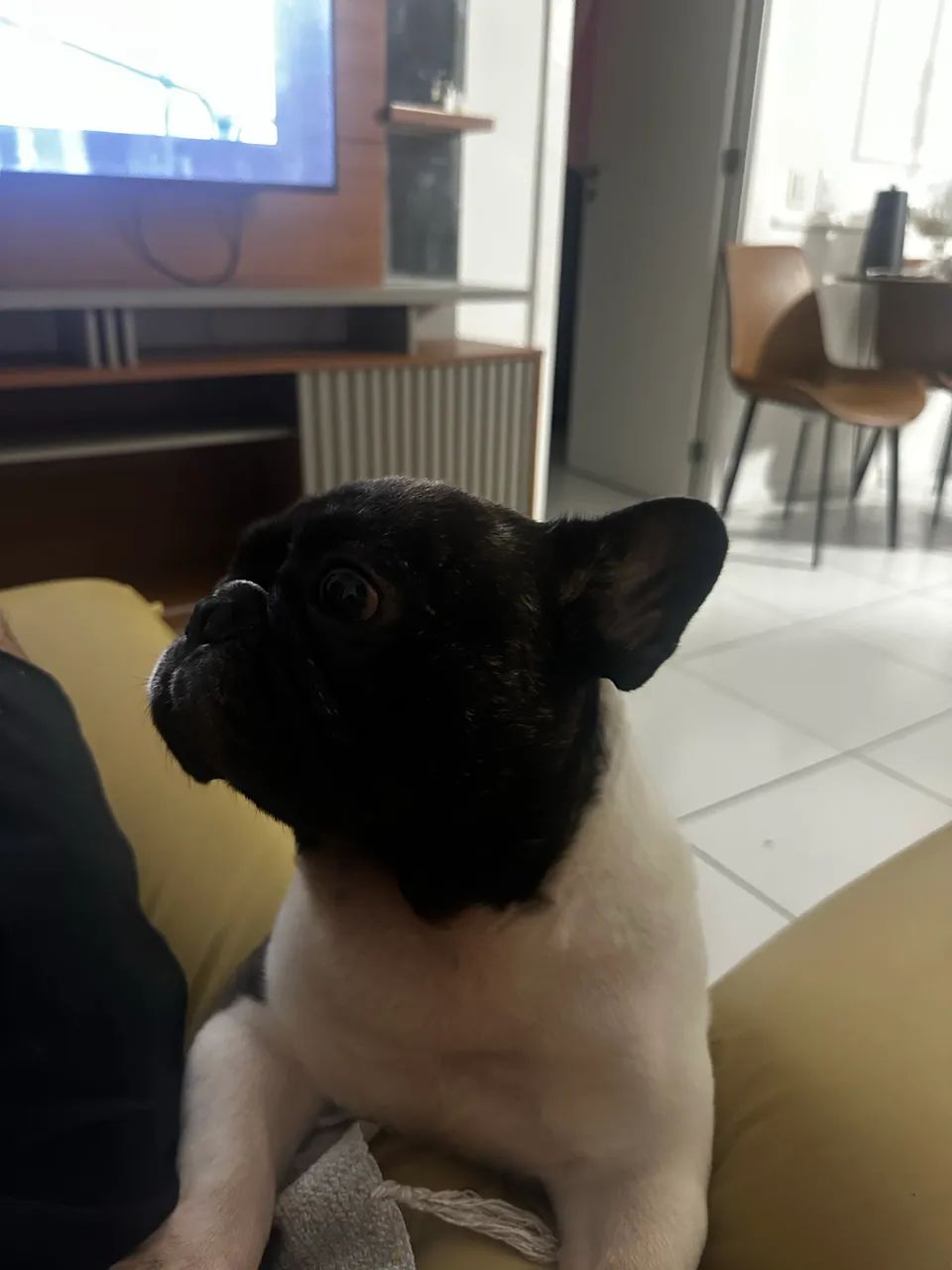 Procuro enamorada 