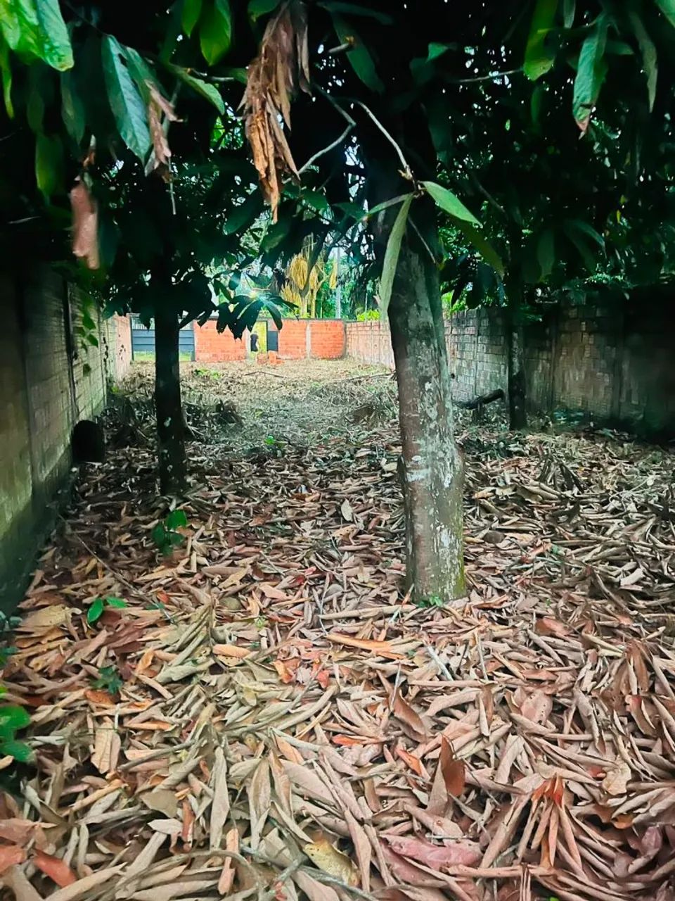 Terreno no Bom Jesus Vila acre   - Foto 2