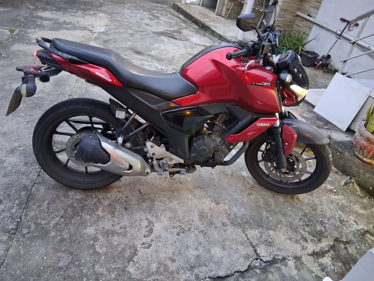 Fz15 2023 