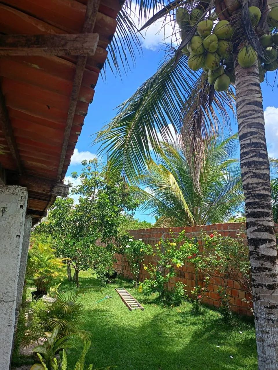 Chácara Colônia Sapé Itaporanga  - Foto 2