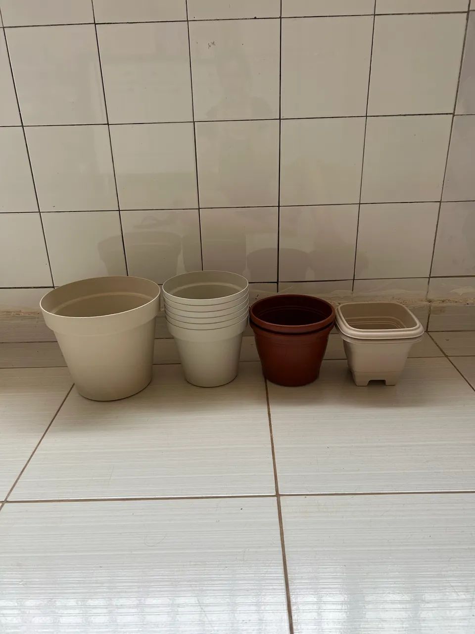 Vasos de plantas 