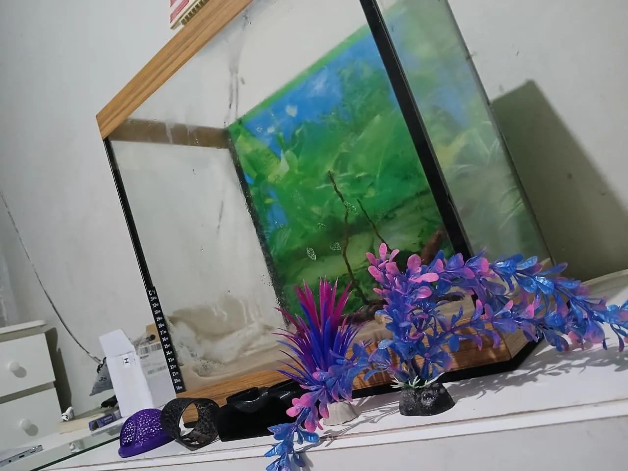 Aquário perfeito 20L - Foto 3