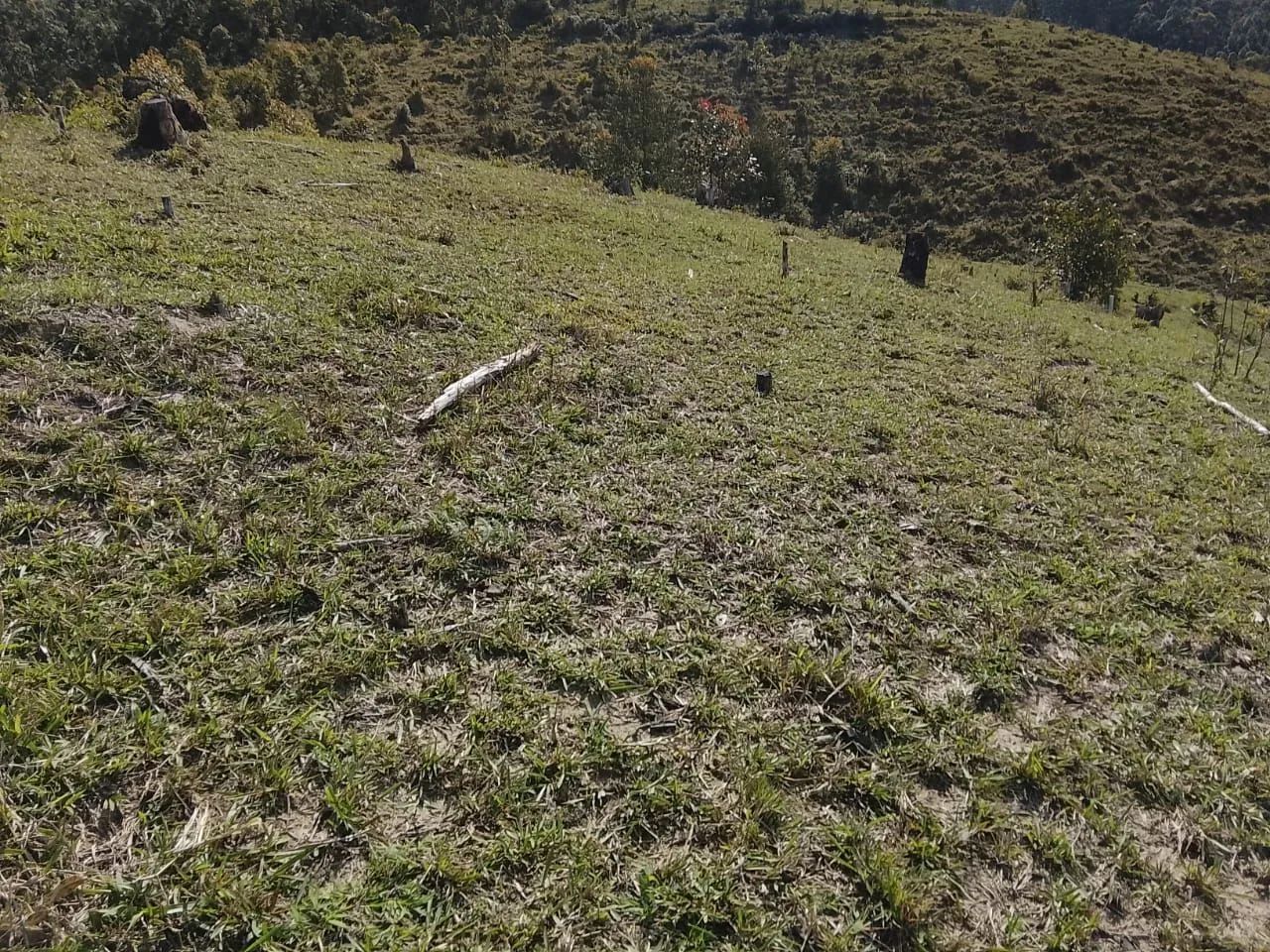 LINDO SÍTIO EM LARANJAL !  - Foto 5