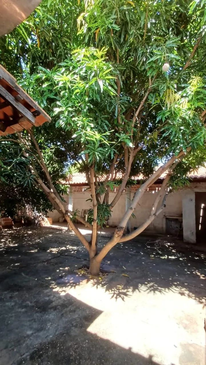 Vende-se  - Foto 4