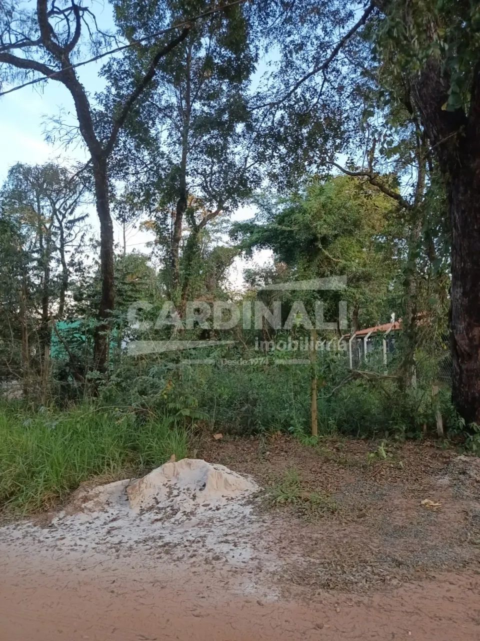 Terreno Padrão em Brotas - Foto 2