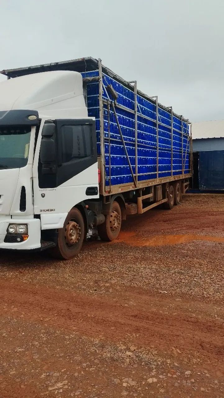 Iveco tector 31300 - Foto 2
