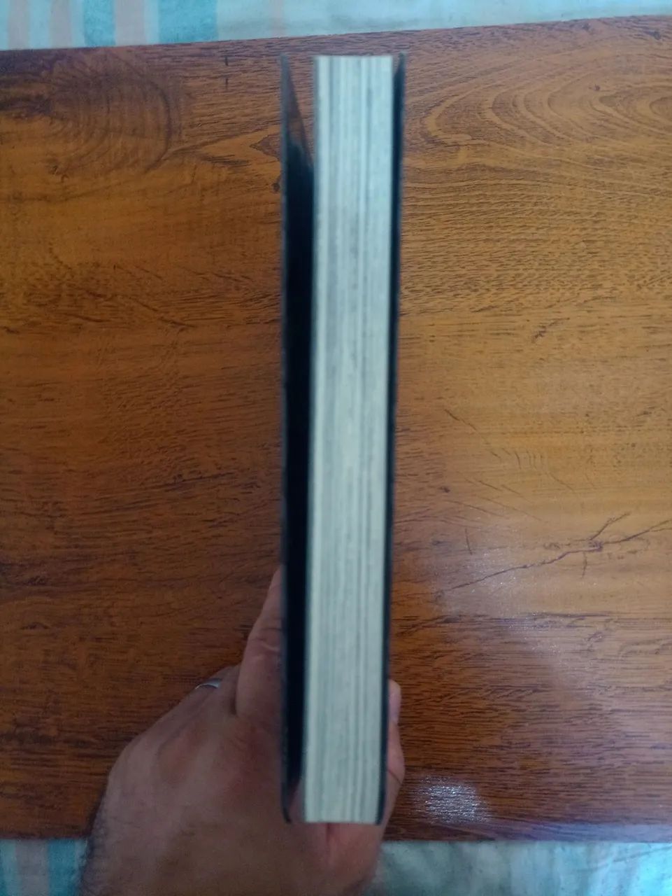 Mangá Black Paradox do autor Junji Ito  - Foto 4