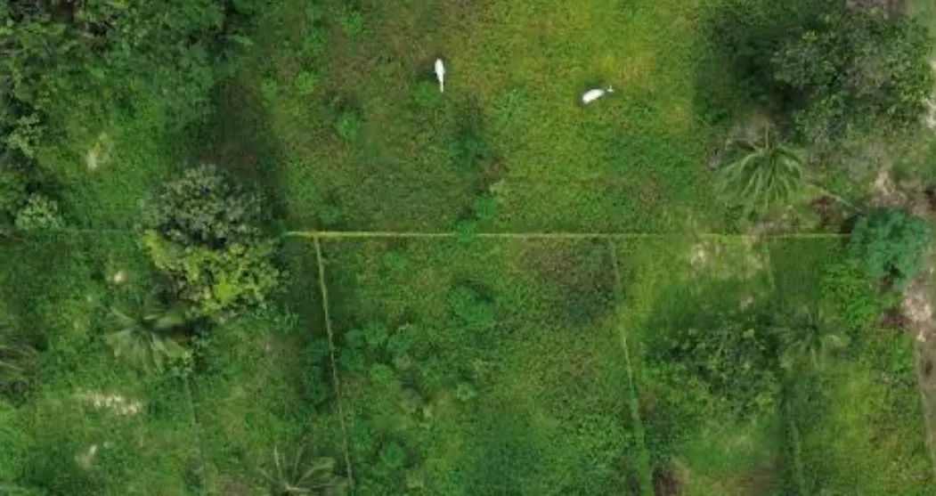 Fazenda Sítio a Venda em Tutoia - MA - Foto 3