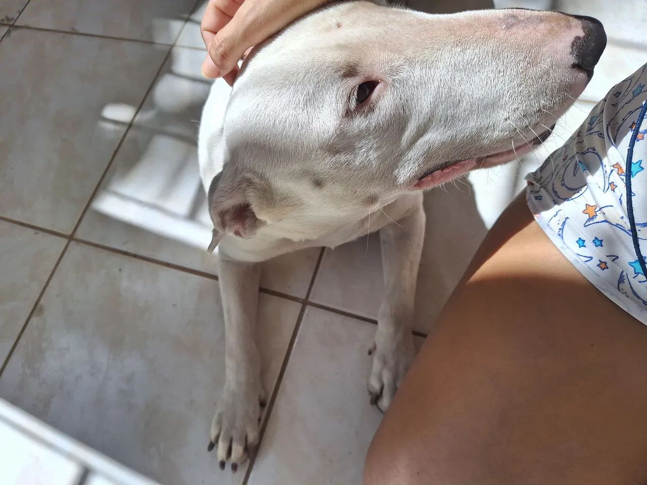 Doação  - Foto 2