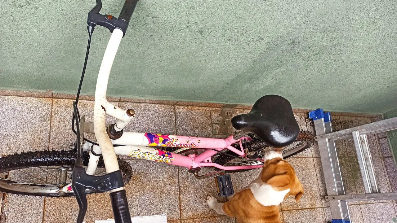 Bicicleta infantil semi nova  - Foto 3