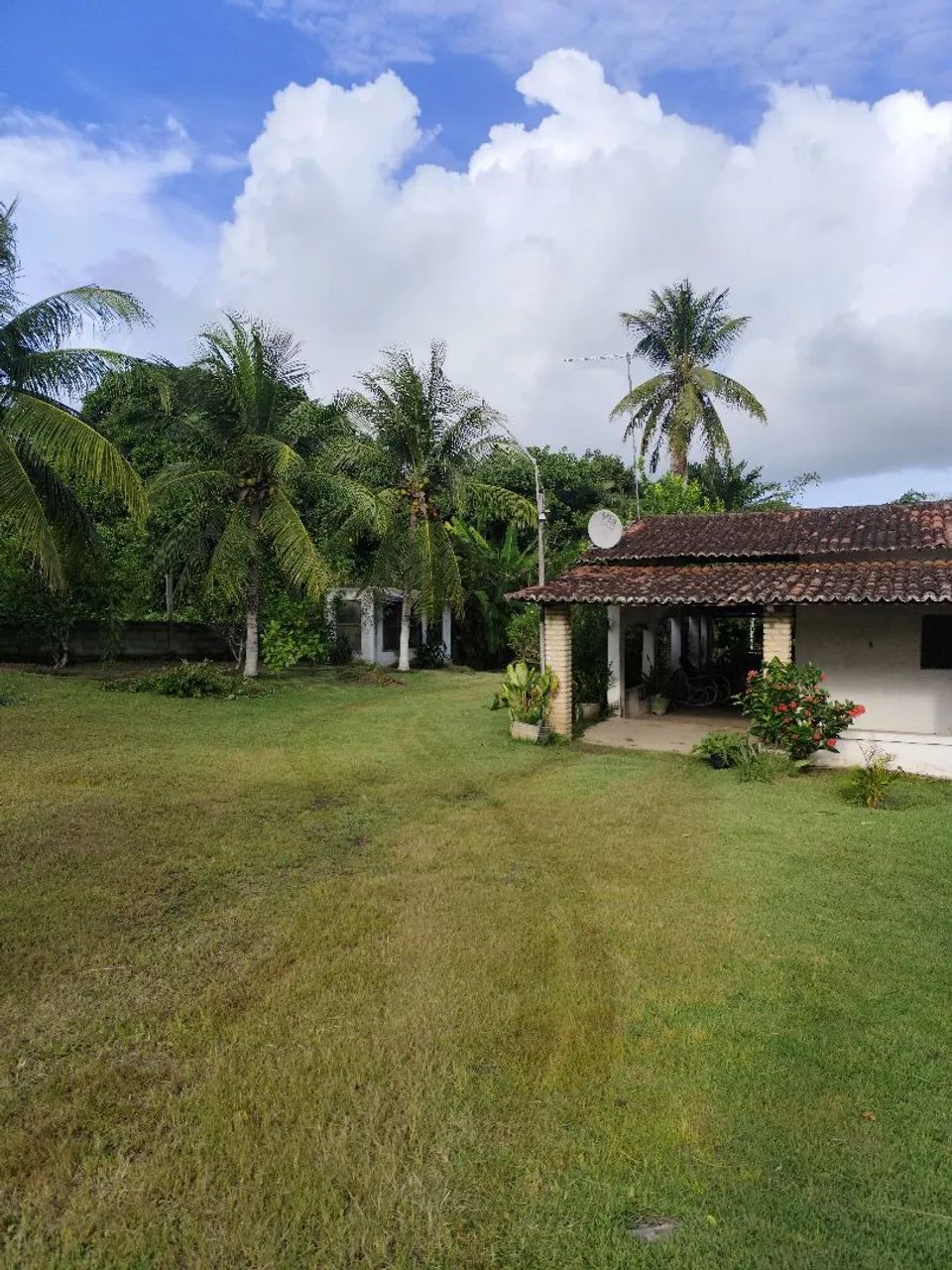 GRANJA NO ARENÃ