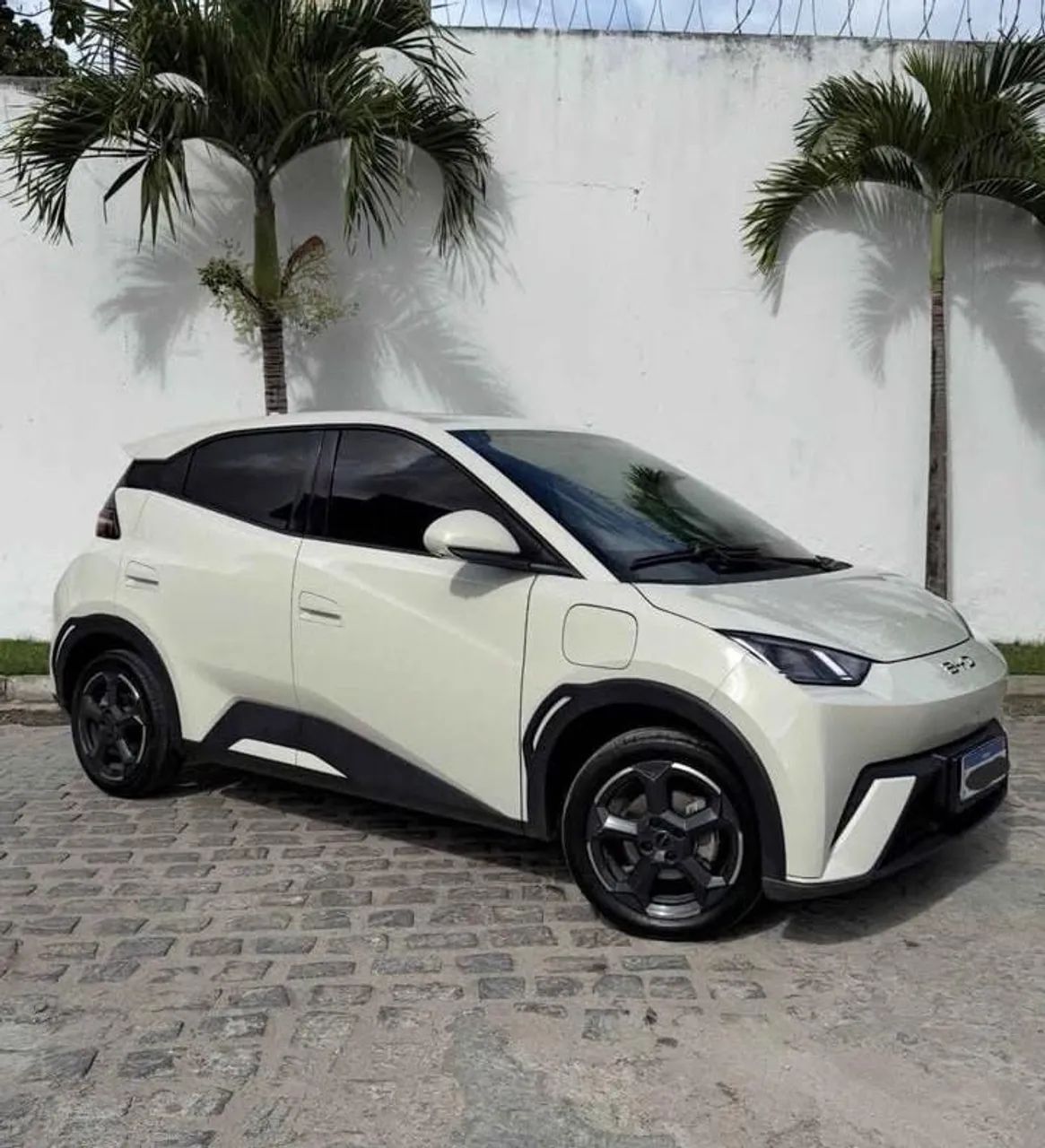 BYD Dolphin Mini (Elétrico) 2024 - Foto 4