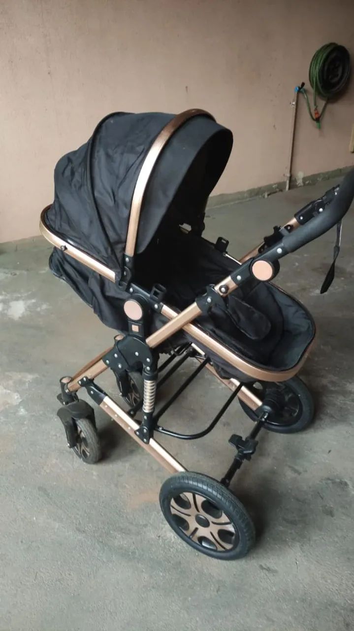 Carrinho Bebê Luxo Eur Moisés 