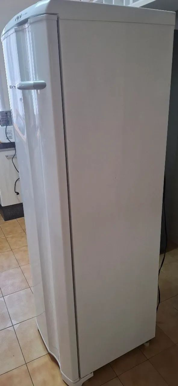 Freezer Electrolux FE 26 - Foto 2