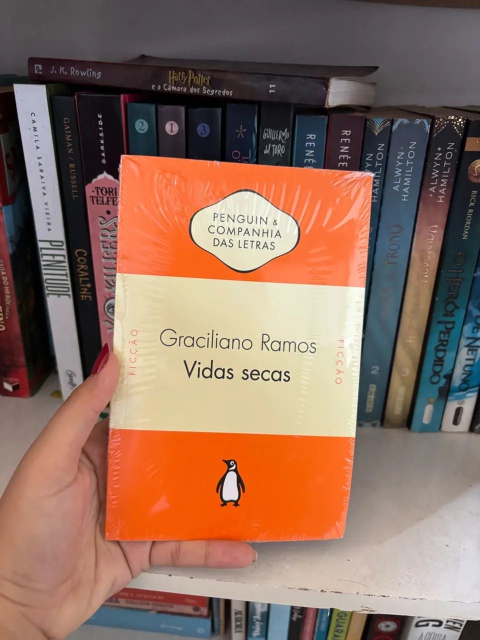 Livro - Foto 3