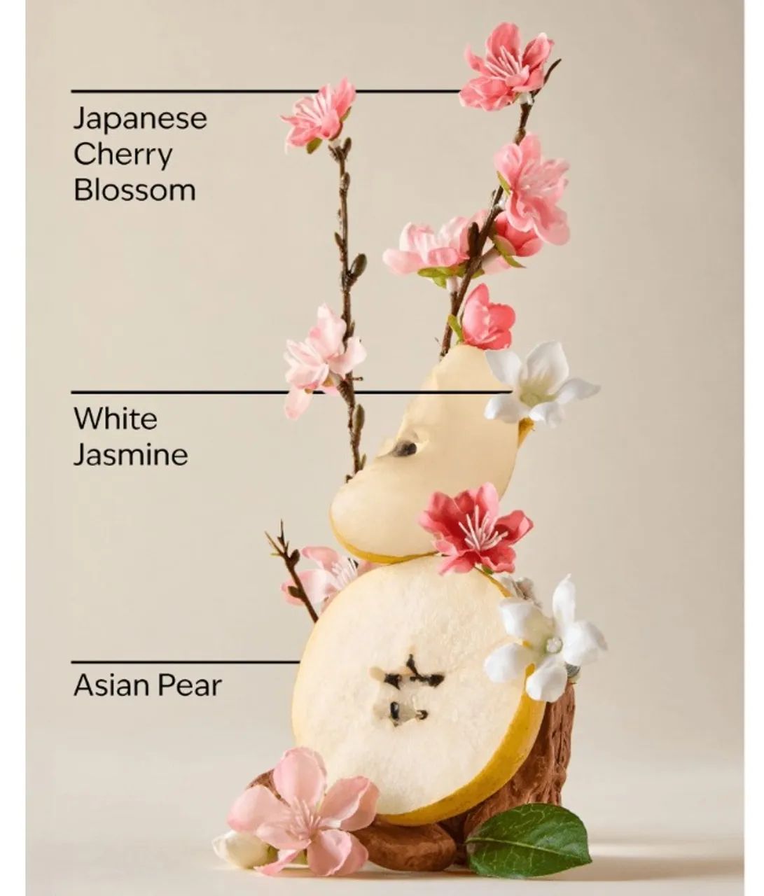 Japanese Cherry Blossom - Foto 2