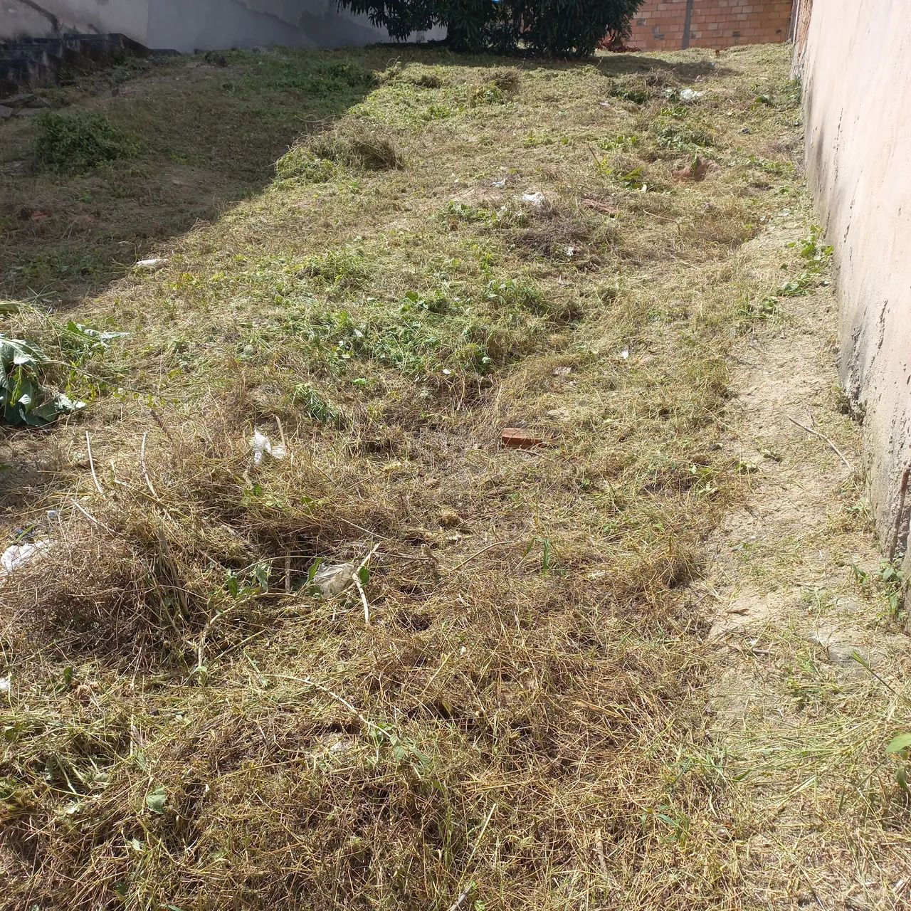 Vendo esse lote - Foto 4