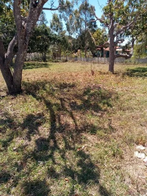 Sítio 7 km de Morro do Chapéu / BA (2ha) - Foto 2
