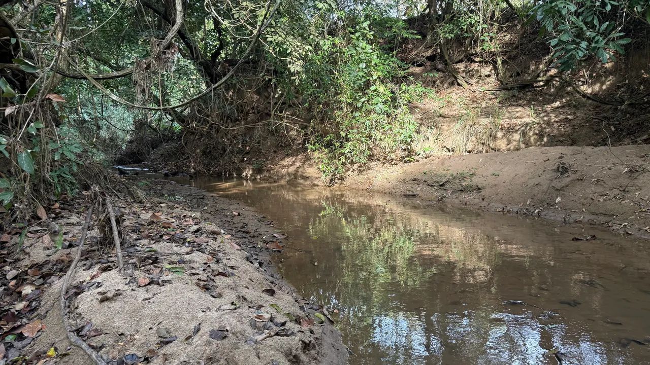 Chacara de 1.800mt em professor Jamil com córrego! - Foto 4