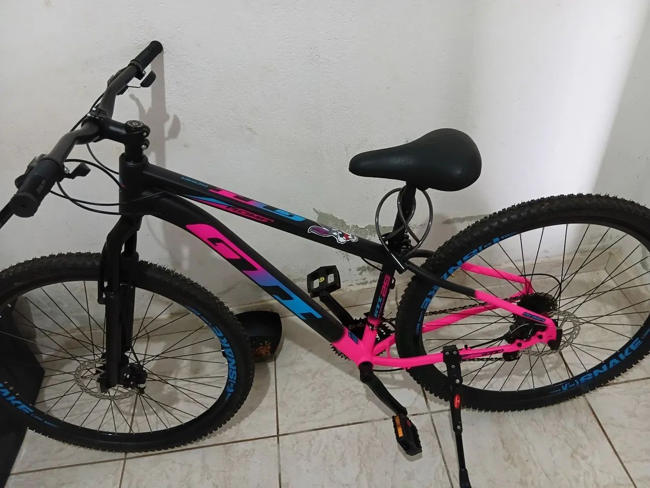 Bicicleta