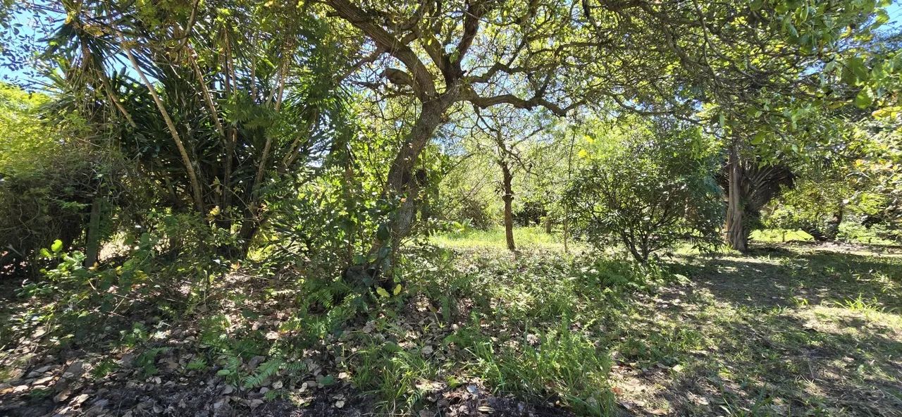CHÁCARA MATAPUÃ - Foto 5