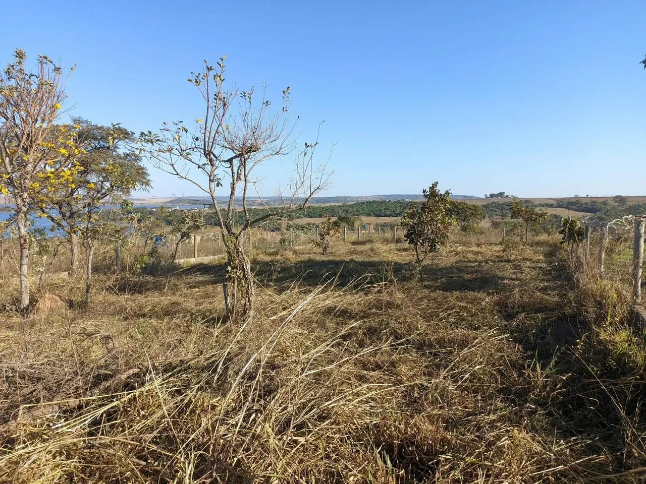 Lote Porto Valença - Agio - Foto 3