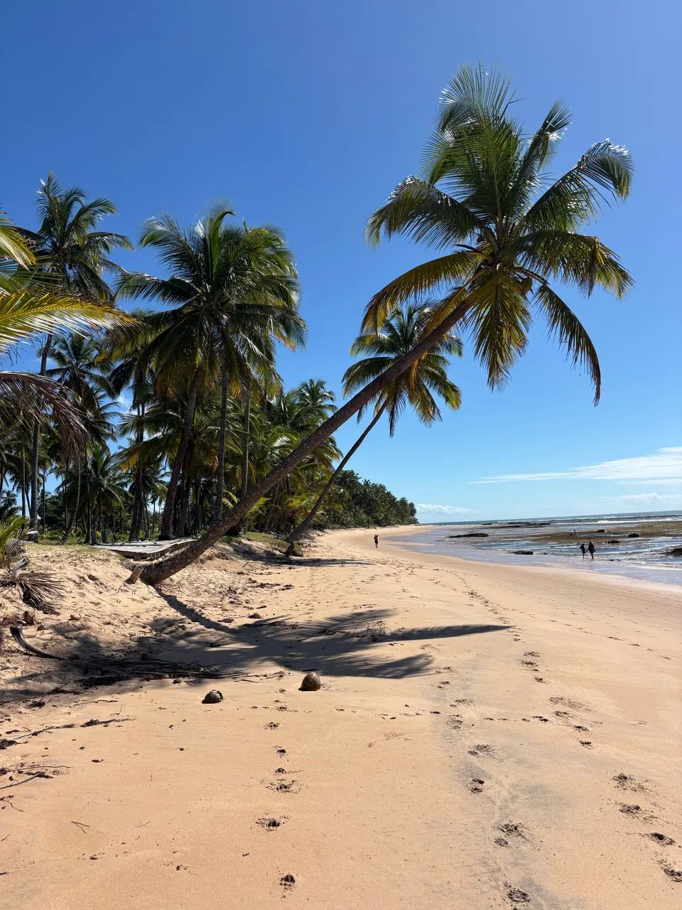 VIVANT ECO BEACH TAIPU DE FORA 