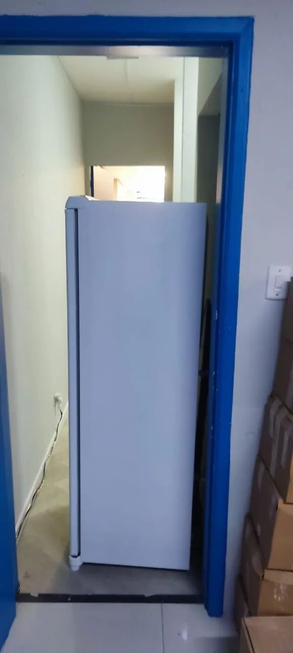 Geladeira Consul Frost Free 300 litros - Foto 6