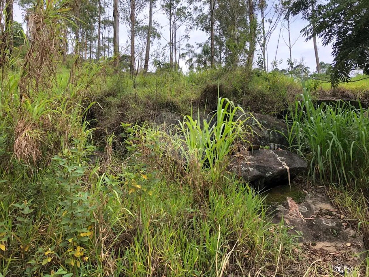 Terreno à venda em Barreiro - SP - Foto 4