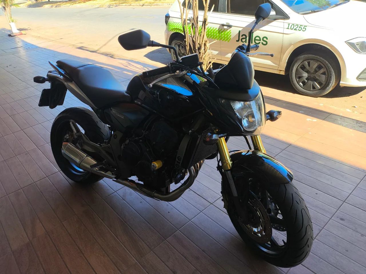 Hornet 600f - Foto 4
